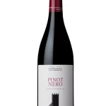 Pinot Nero doc (volume 13,5%) VEGAN